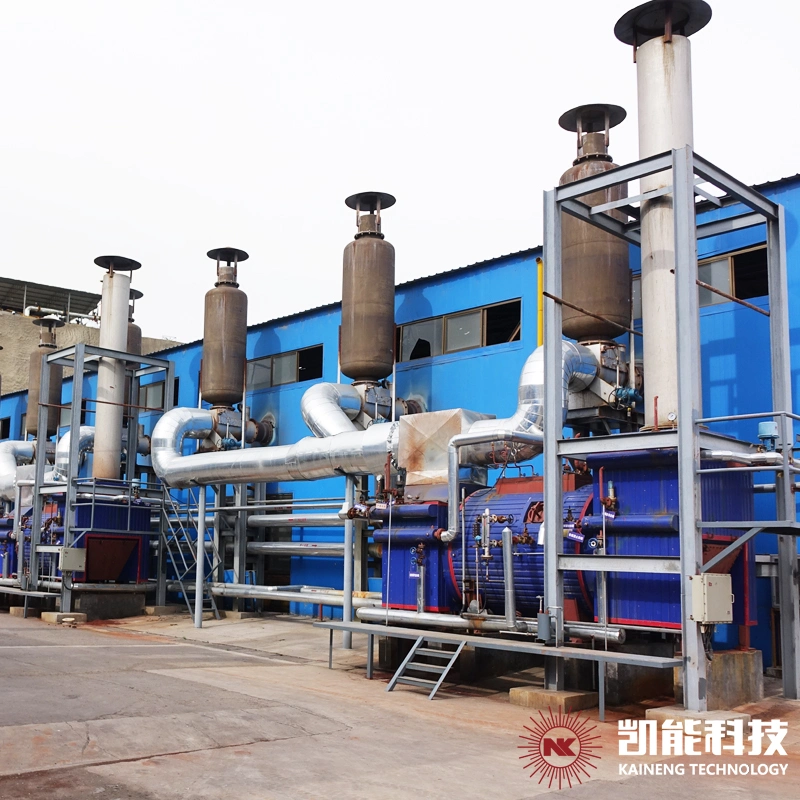 Waste Heat Power Generation Steam Boiler with Superheater Evaporation Economizer