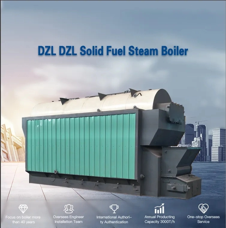 Horizontal Installation Steam Boiler Environmental Solid Fuel Rice Hulls Boiler