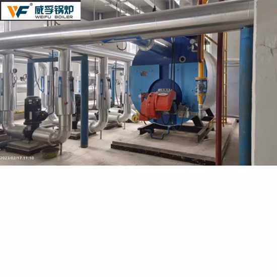 5-75t/h 高効率流動床 CFB 循環バイオマス/石炭/Msw/産業用蒸気ボイラー/発電所/発電所/蒸気ボイラー